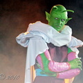 IMG 7356
