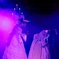 IMG 7388