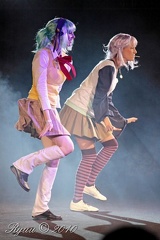 IMG 7429